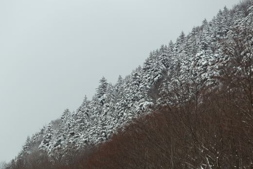Les meilleures activités de plein air en famille au Québec
