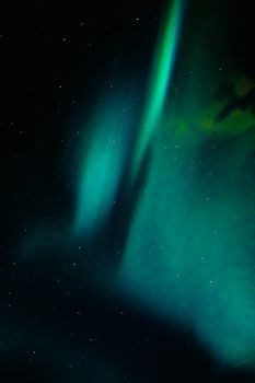 Stunning aurora borealis display under a starry night sky, showcasing vibrant green hues in a celestial phenomenon.