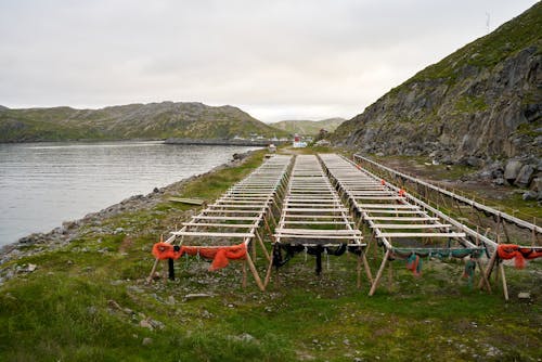 Gratis lagerfoto af bakker, ø, sø