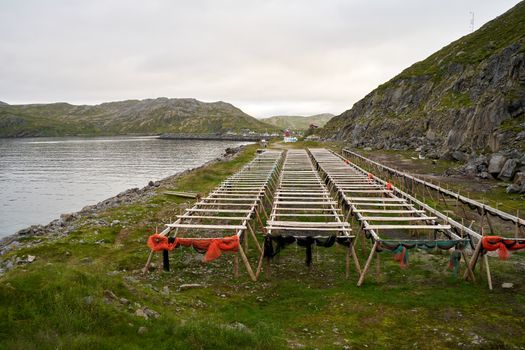 Brown Wooden Picnic Tables on Green Grass Field Near Body of Water
