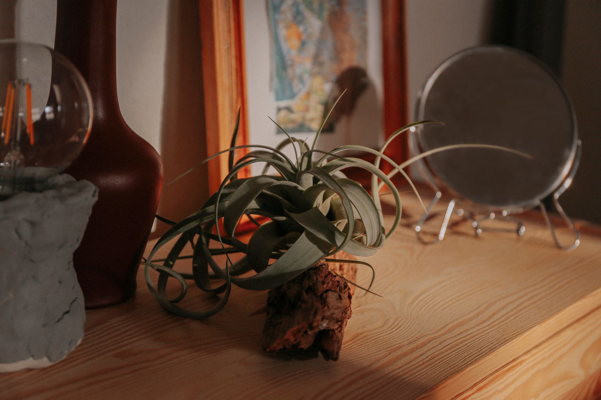 Elegant indoor decor featuring an air plant on driftwood, ceramic vase, and round mirror on a wooden table.