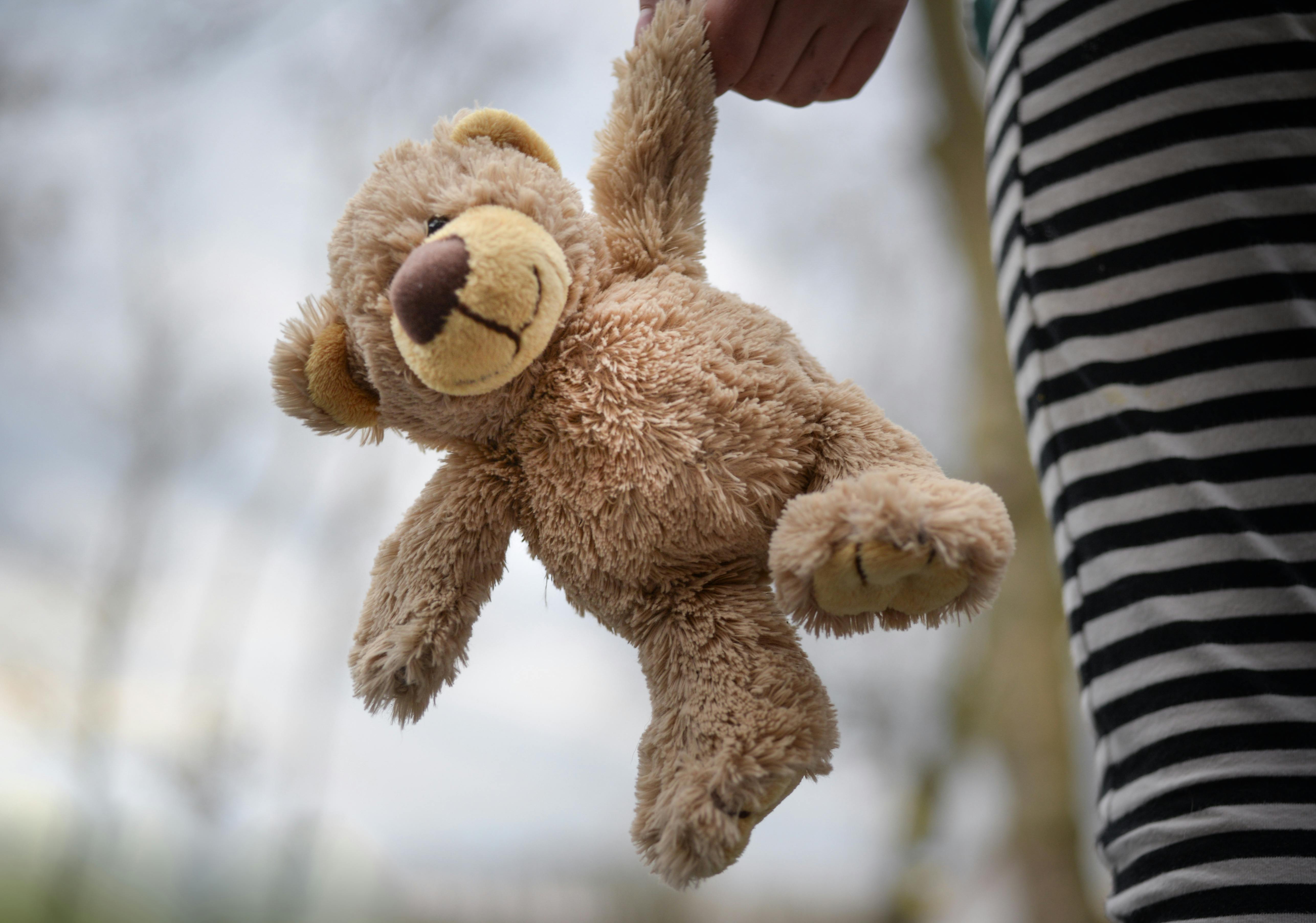 teddy bear looking