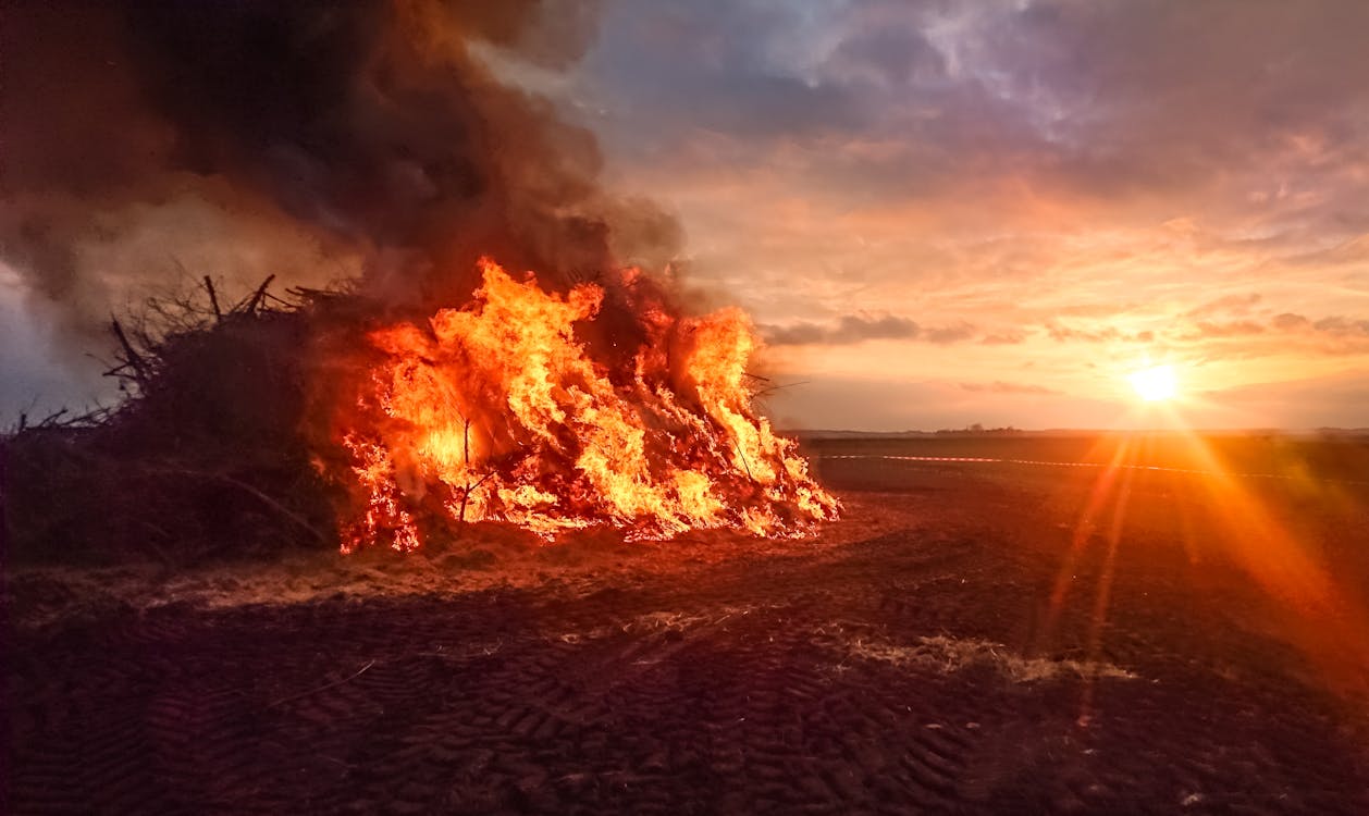 Firewood Burning During Sunset