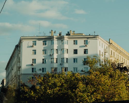 Kostenloses Stock Foto zu bäume, blauer himmel, draußen