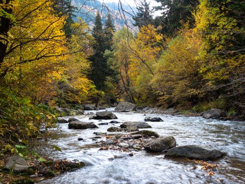 Free A serene autumn river scene in Shida Kartli with vibrant foliage and flowing waters. Stock Photo