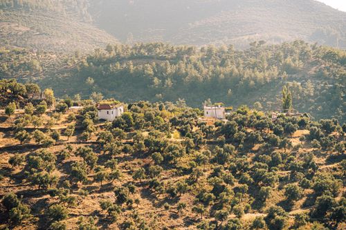 Free Beautiful aerial view of Muğla's rural landscape with lush greenery and scattered houses. Stock Photo