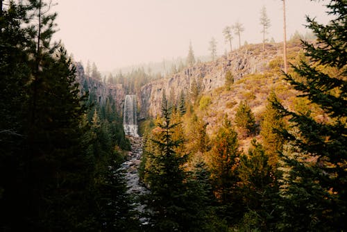 Photos gratuites de calme, cascade, environnement