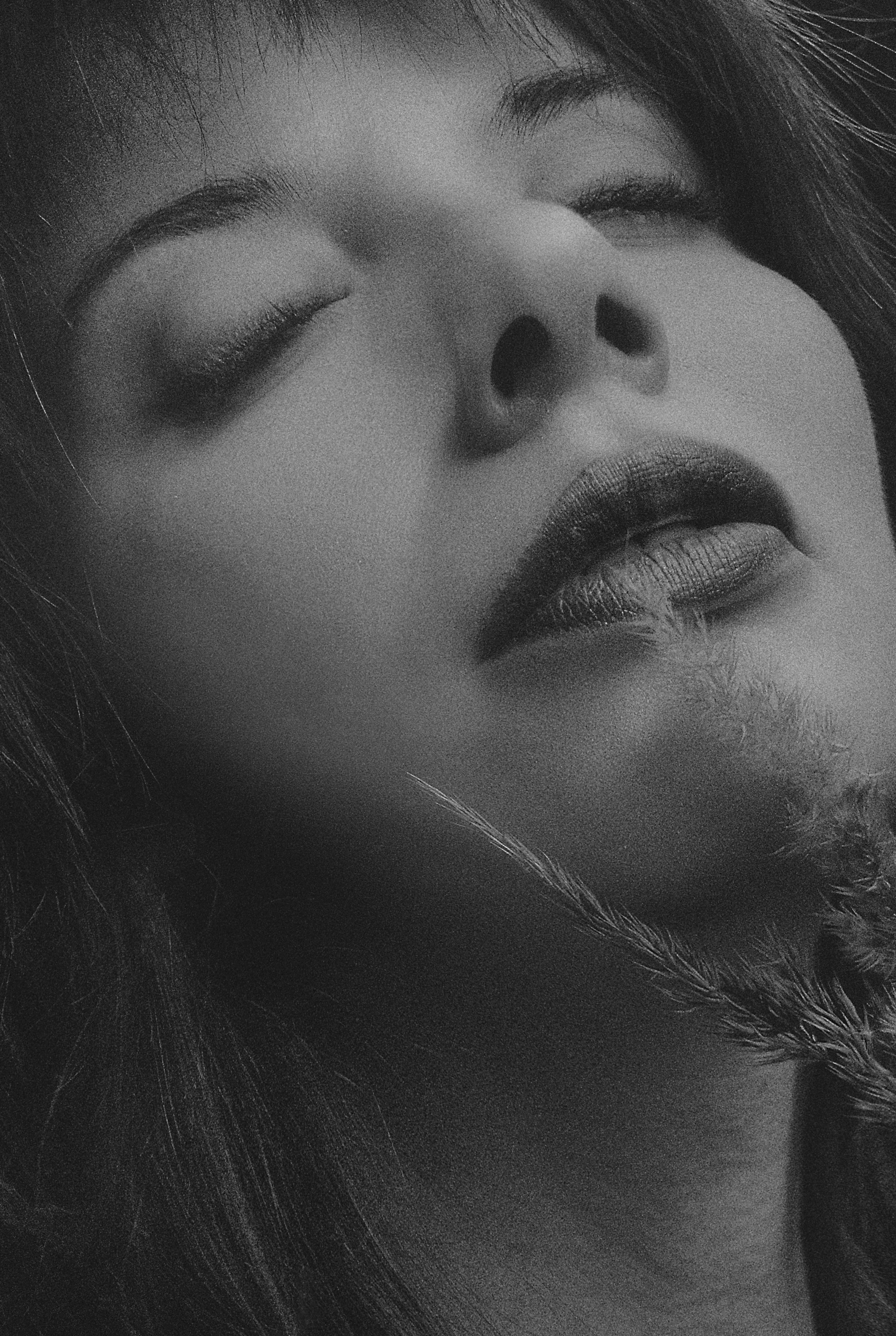 Close-Up Shot of a Woman With Her Eyes Closed · Free Stock Photo