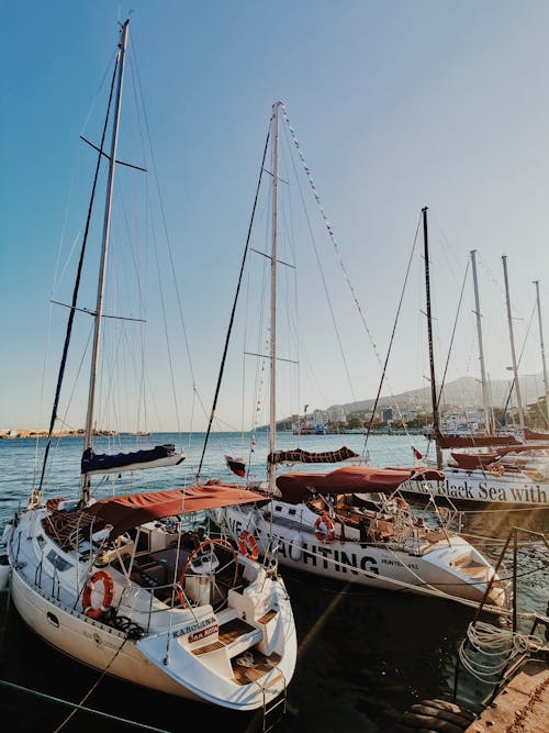 Foto profissional grátis de ancorado, barcos, barcos a vela