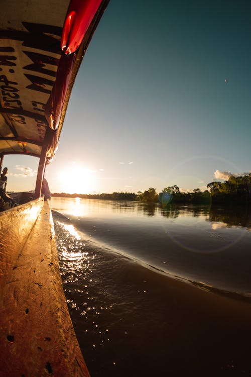 亚马逊, 快艇, 旅行 的 免费素材图片