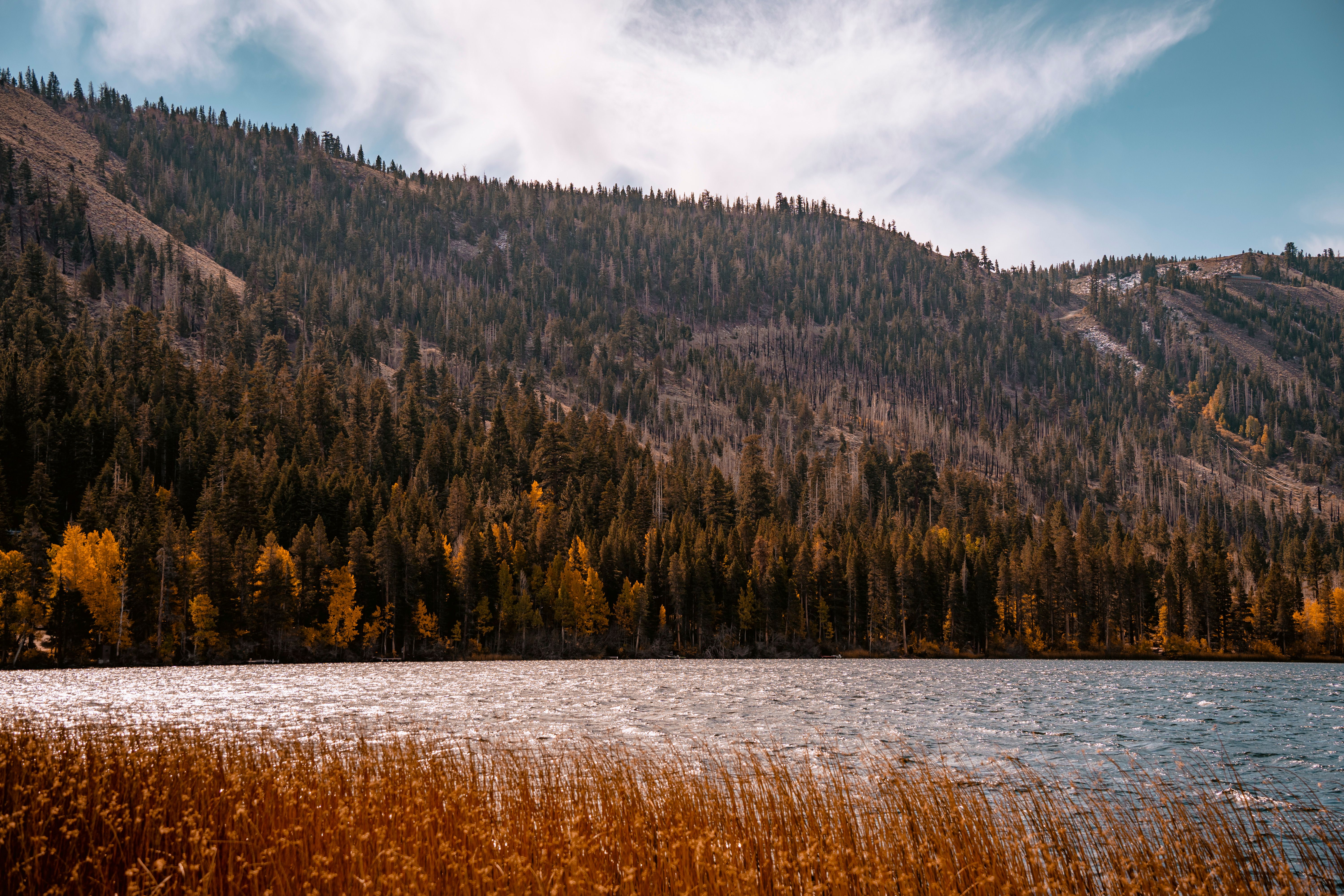 Tranquil mountain lake bordered by lush coniferous forest in vibrant fall colors under a clear sky.