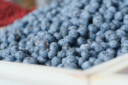 Free Close-up of fresh blueberries in a wooden crate at Turku market, Finland, showcasing their vibrant color and natural freshness. Stock Photo
