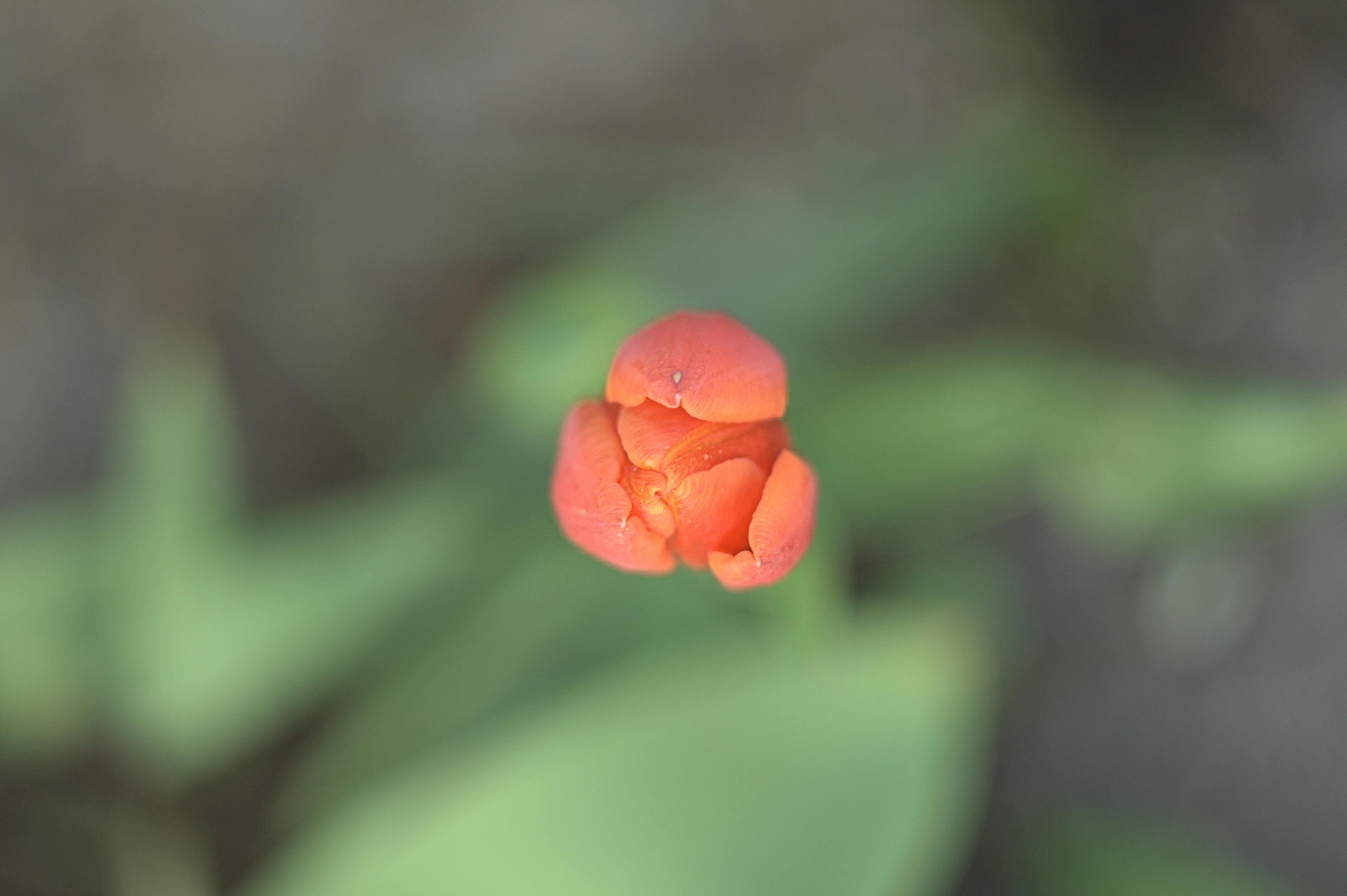 Hotel receptionist assisting guests at check-in counter