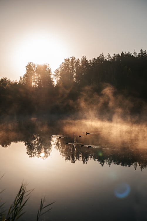 Základová fotografie zdarma na téma jezero, klidný, krajina