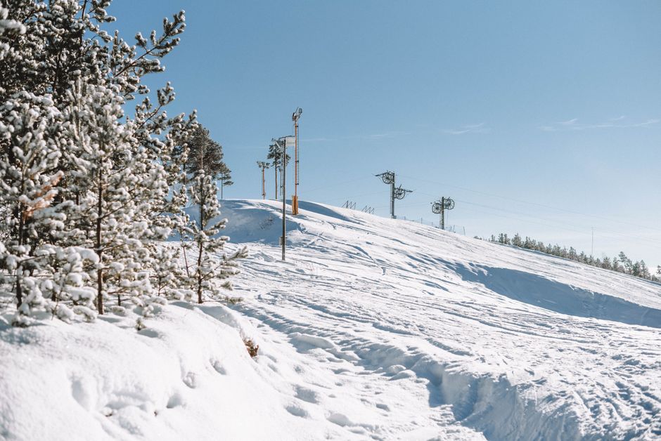 Beautiful winter landscape featuring a snowy ski slope and pine trees under a clear blue sky.