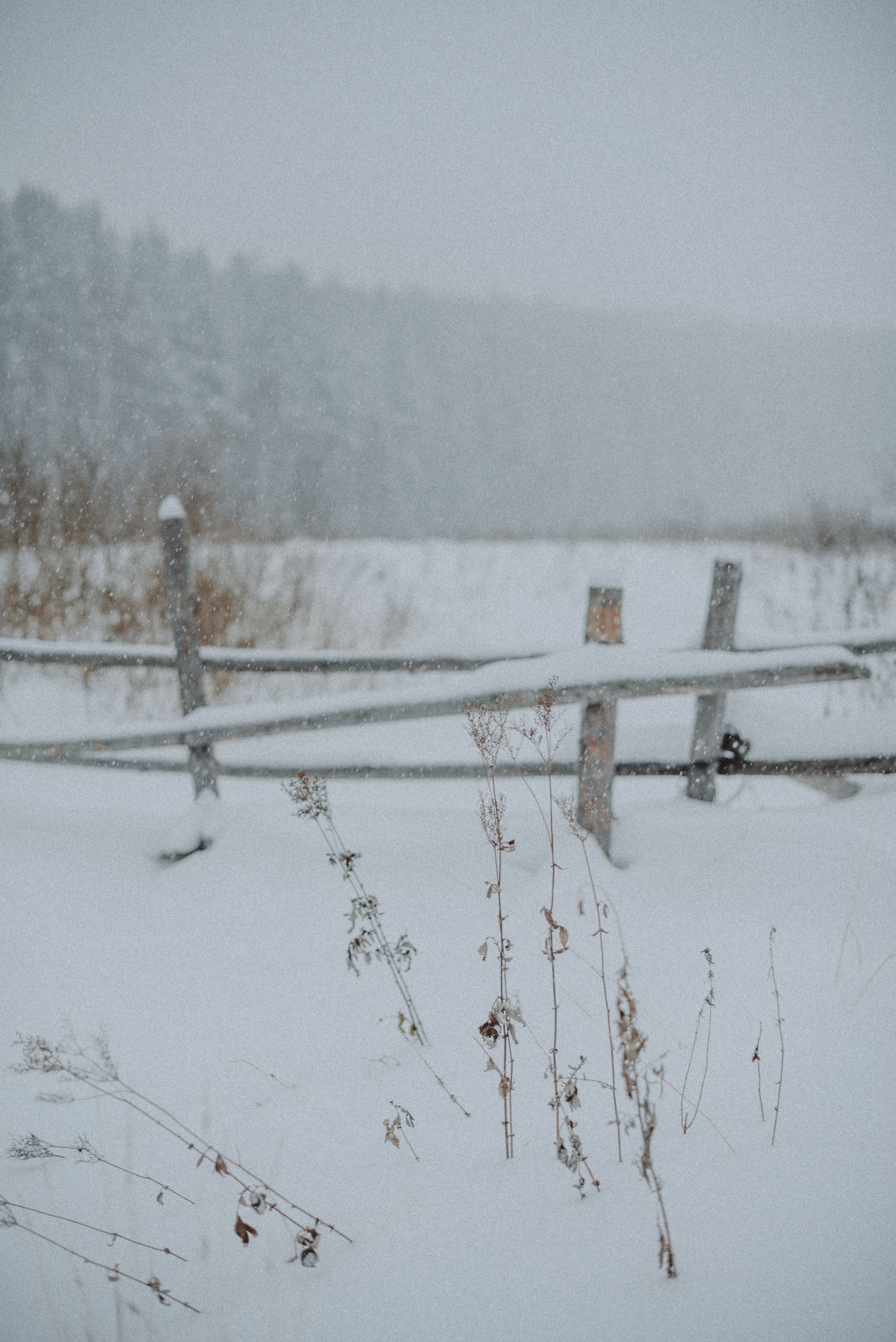 Wooden Fence Covered in Snow · Free Stock Photo