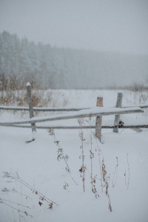 Free Serene winter landscape featuring a rustic wooden fence blanketed in snow, ideal for seasonal themes. Stock Photo