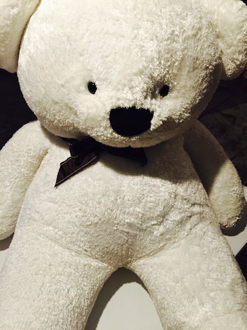 Безкоштовне стокове фото на тему «білий ведмідь, ведмідь, плюшевий ведмедик»