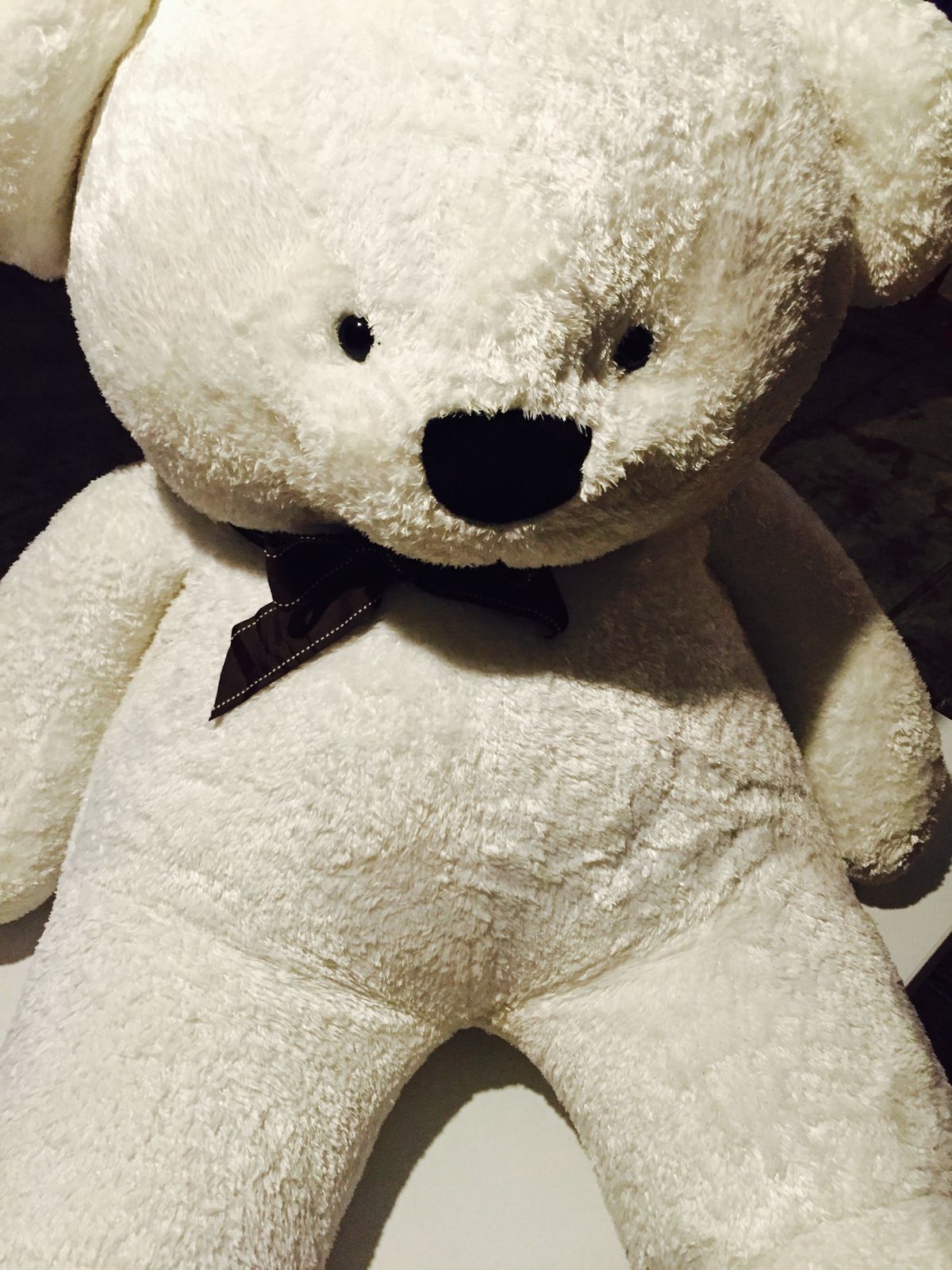 The Companion Teddy