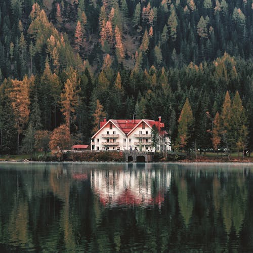 Maison Blanche Et Orange à Côté De La Forêt Et Du Plan D'eau