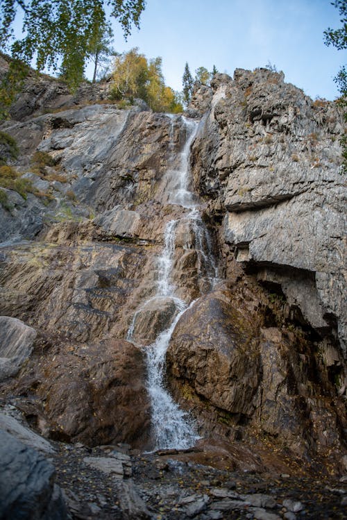 Kostenloses Stock Foto zu aufnahme von unten, bäume, felsen