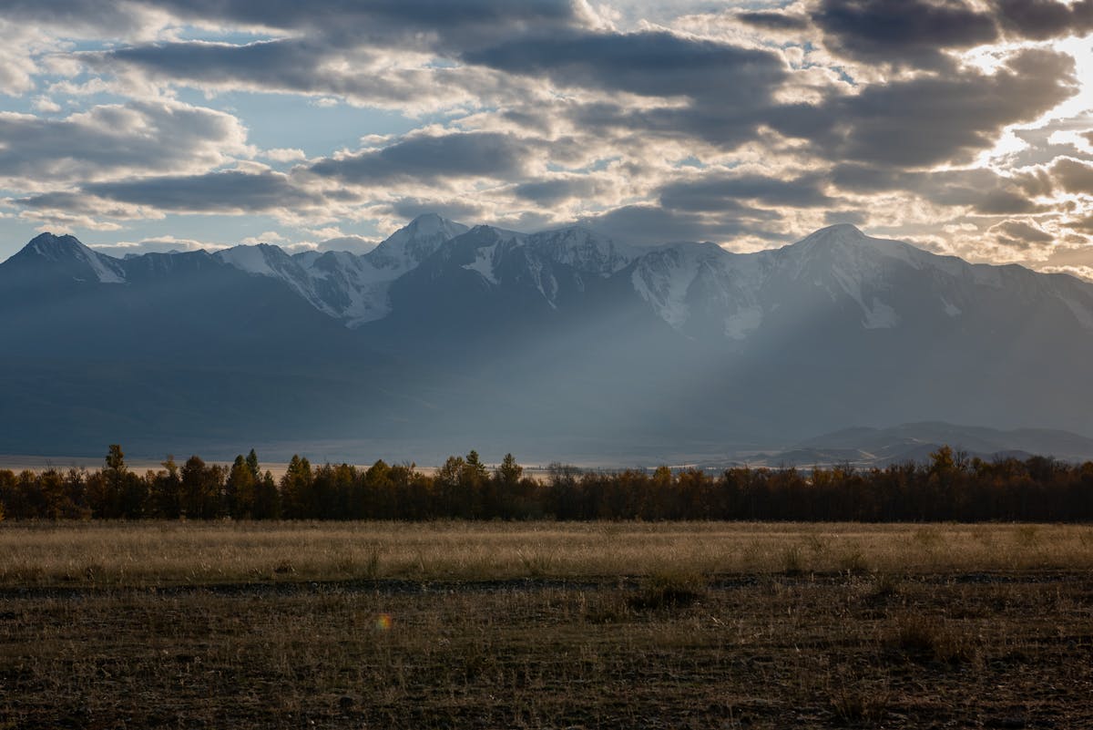 Green herbal mocktail in a glass with ice and herbs