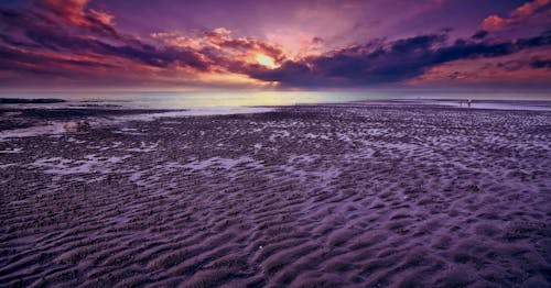 Free Seashore during Golden Hour Stock Photo