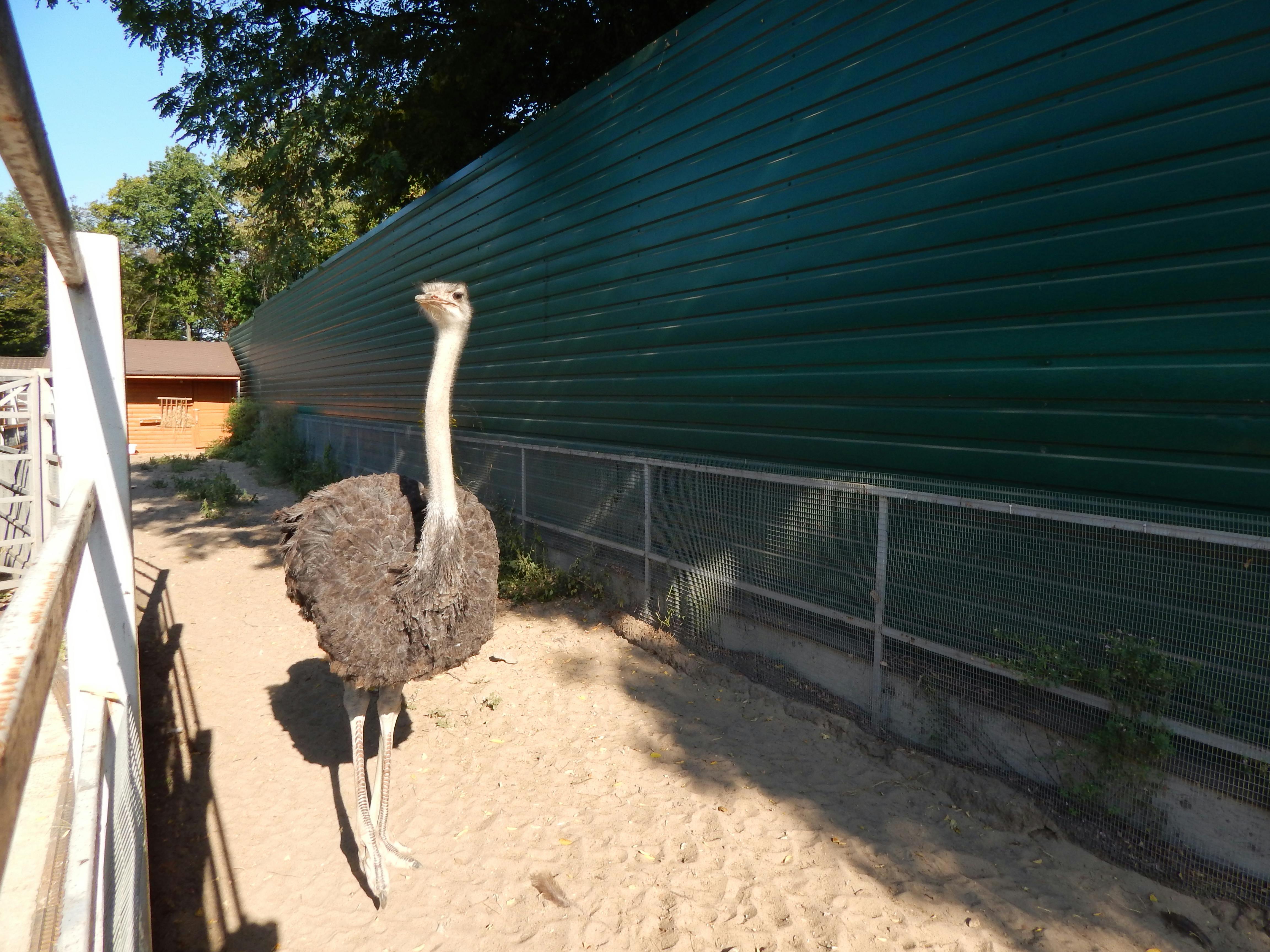 climate risk finance global market heatwave financial risk