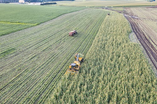 Fotos de stock gratuitas de agricultura, campo, foto con dron