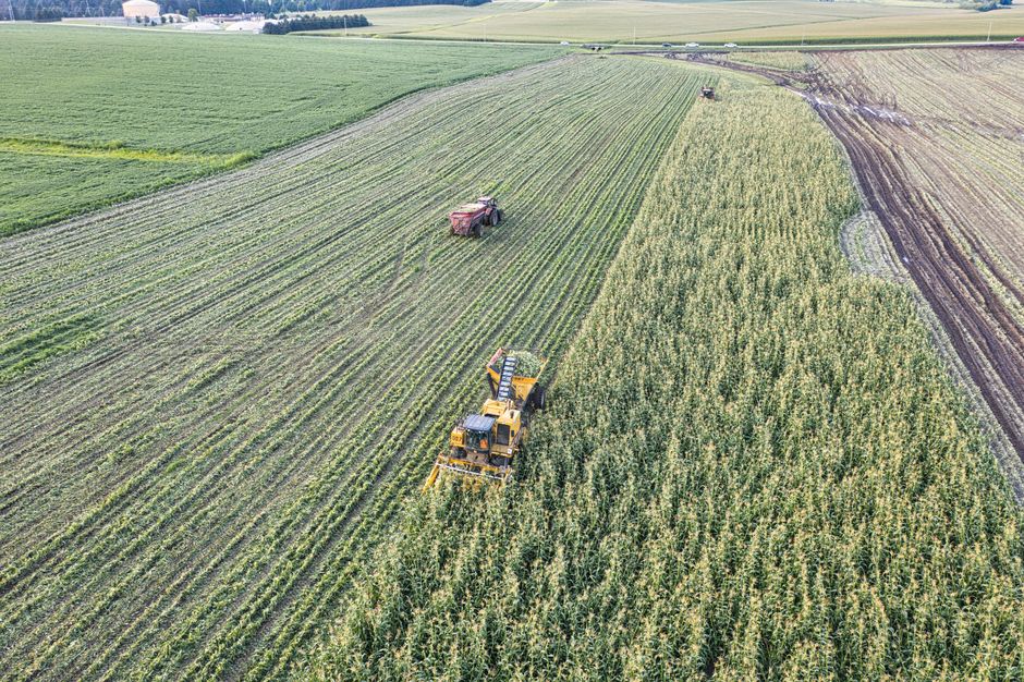 Photo for: Mathematica Hires Russell Group for Agriculture Lobbying