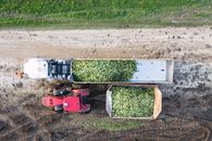 A High Angel Shot of a Truck and a Tractor with Corn Harvest