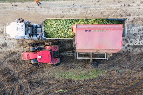 Free Tractors Harvesting Crop Stock Photo