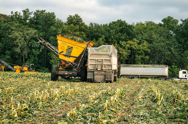 Heavy Machinery On Field During Harvest