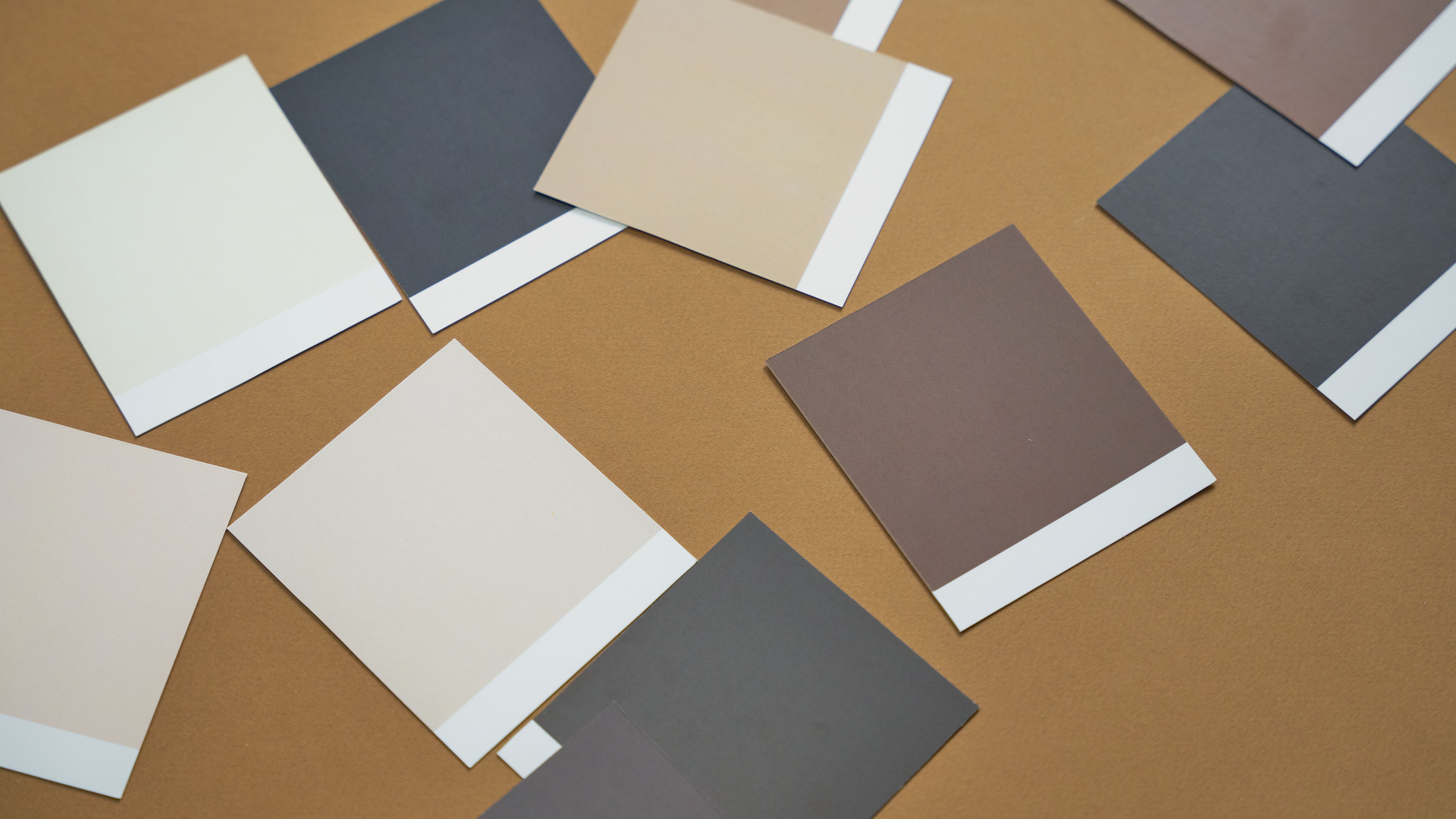 Cómo elegir la mejor pintura para tus proyectos de renovación