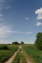 Green Grass Field Under Blue Sky