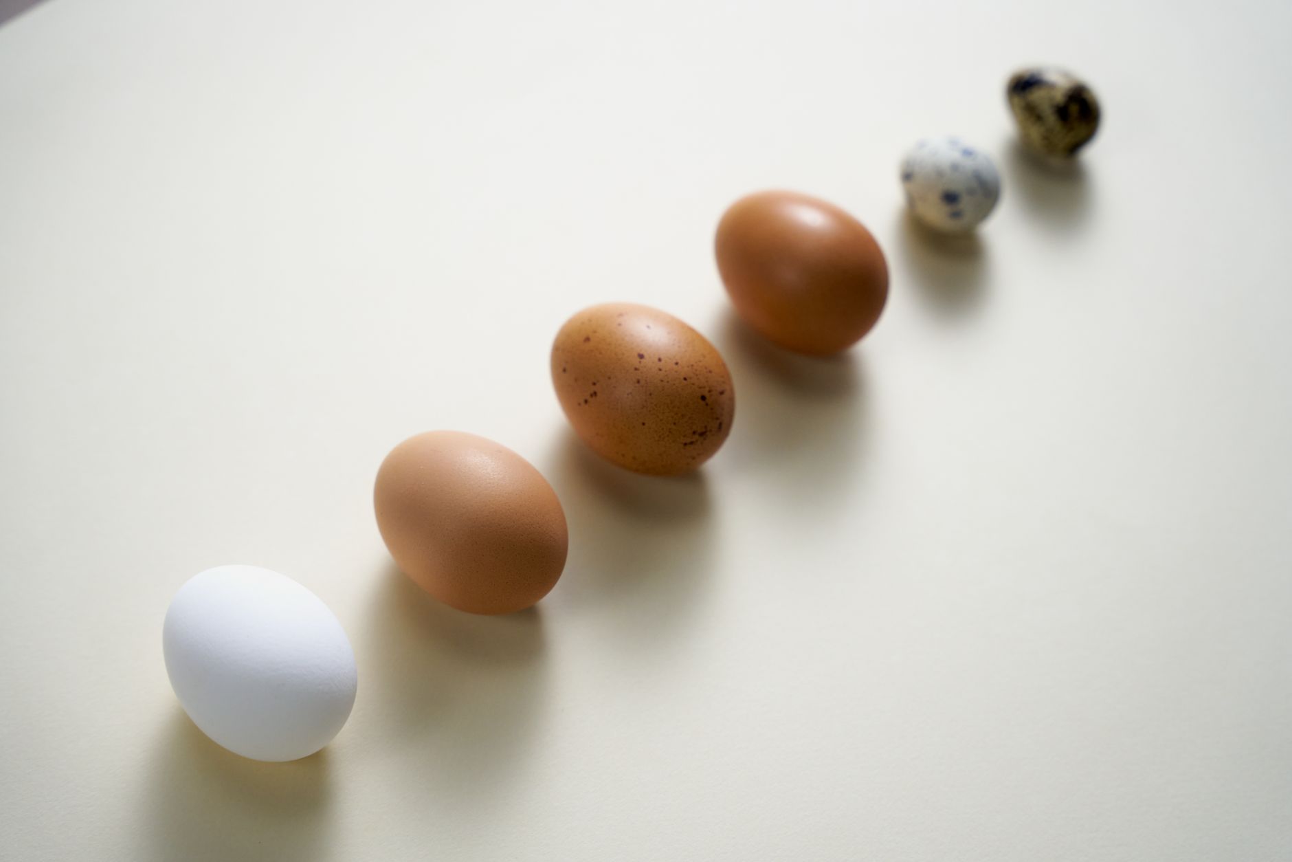 Carton of eggs stored properly in refrigerator