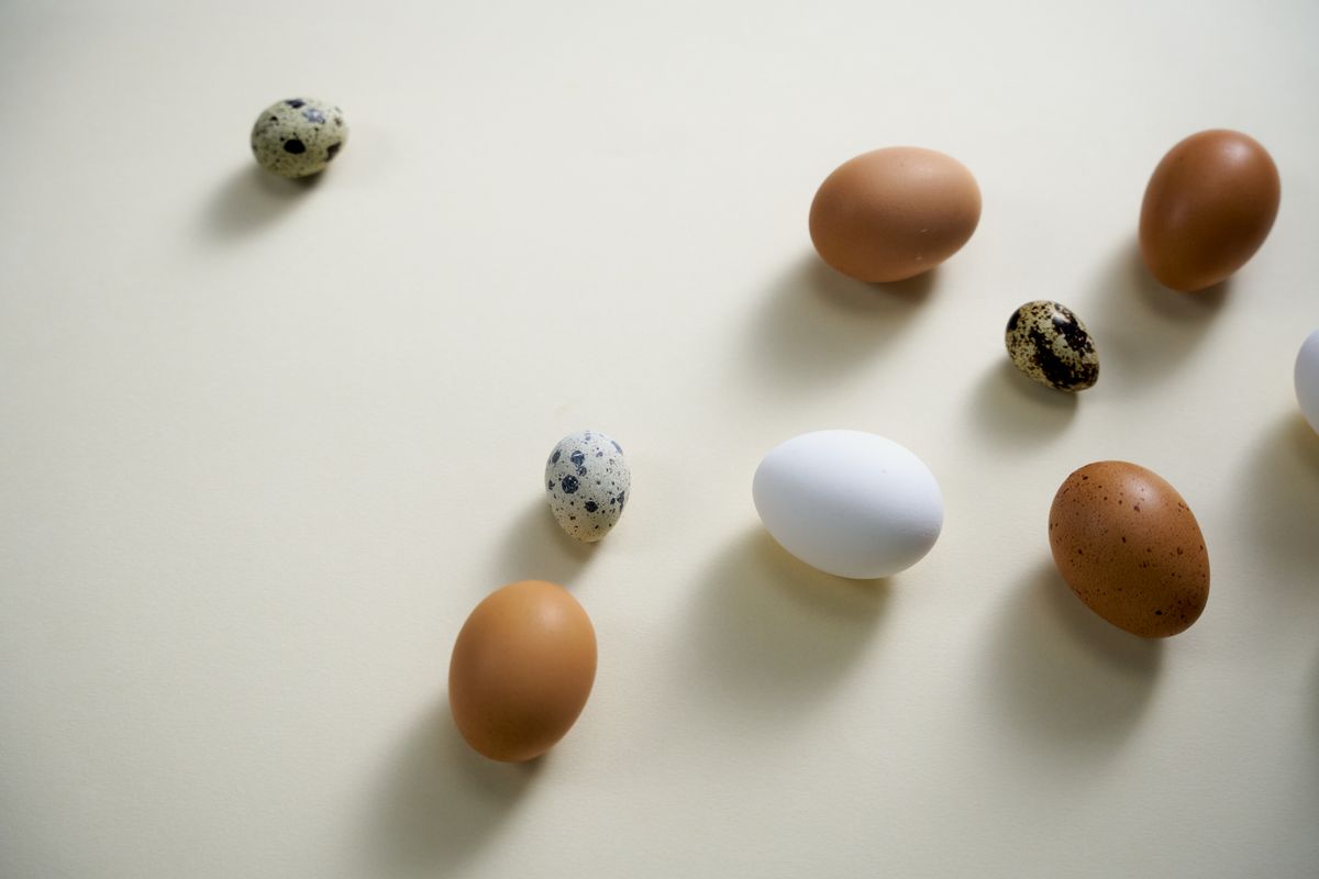 Eier in der Ernährung: braune und weiße Eier im Karton