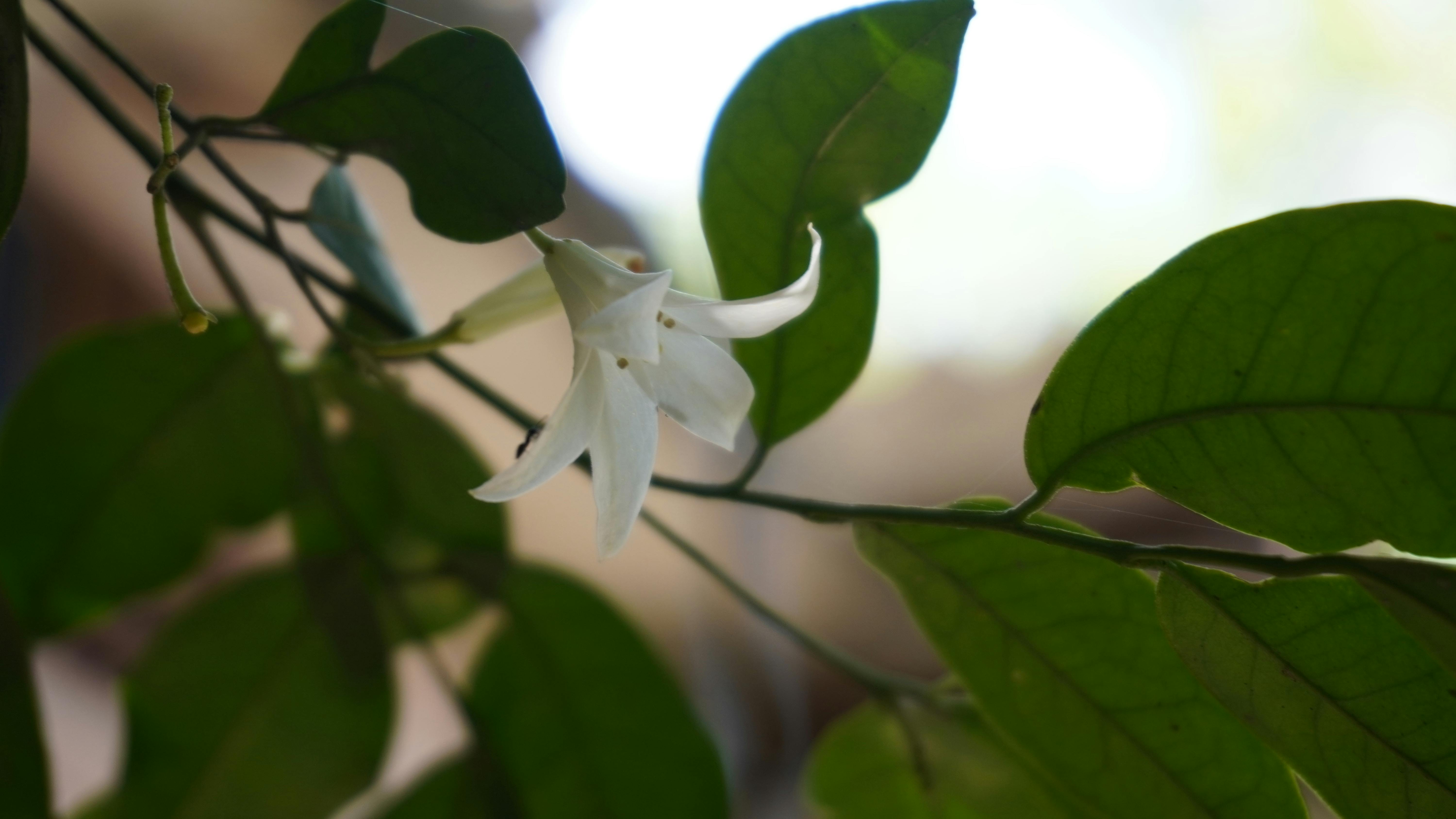 Serviços de documentação