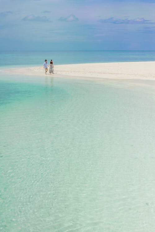 Free Two Person Walking on Beach Stock Photo