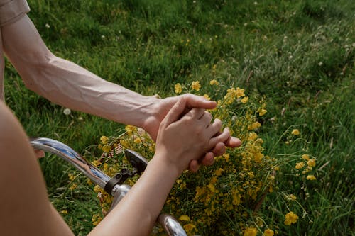 Gratis lagerfoto af blomster, græs, hænder