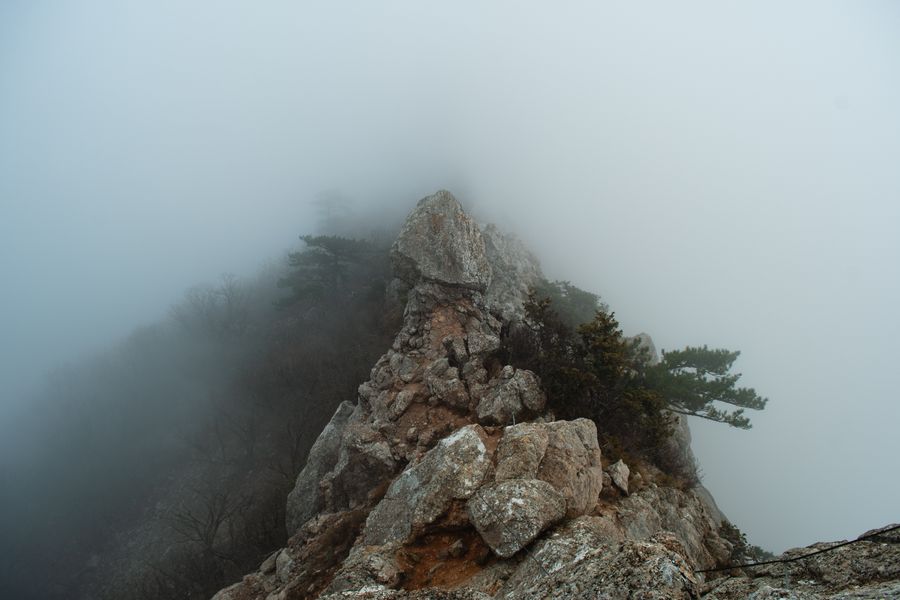 Fog drifting through a pine ridge at dawn — photo by Grigoriy on Pexels