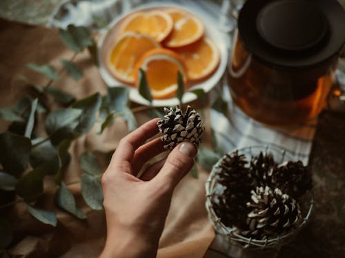 bitki, Çay, dilimler içeren Ücretsiz stok fotoğraf