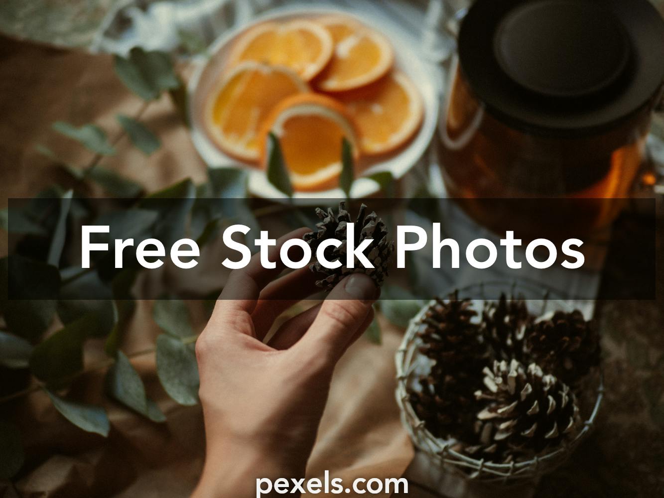 Pinecone Photos, Download The BEST Free Pinecone Stock Photos & HD Images