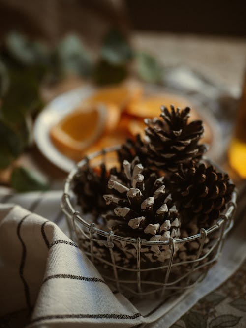 Pine Cones in Small Bowl