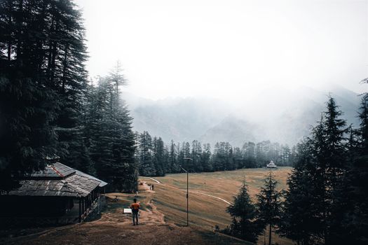 Misty morning scene in Kashmir with a lone person amidst pine trees and a foggy backdrop.