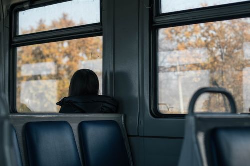 Free A person gazes out a train window at autumn trees, reflecting solitude and contemplation. Stock Photo