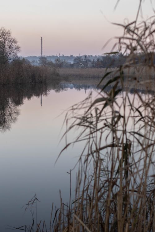 Free Tranquil lake scene at dawn with fog, reflections, and autumn grass. Stock Photo