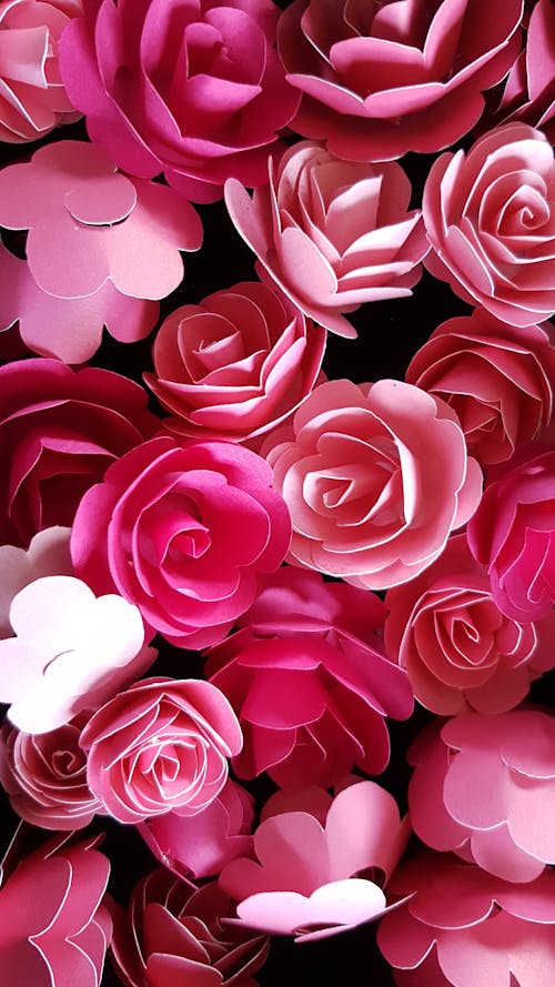 Free Paper Roses Stock Photo