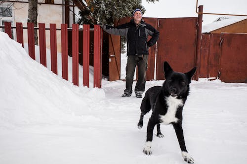 Man in Gray and Black Jacket Standing on Snow Covered Ground With Black and White Dog