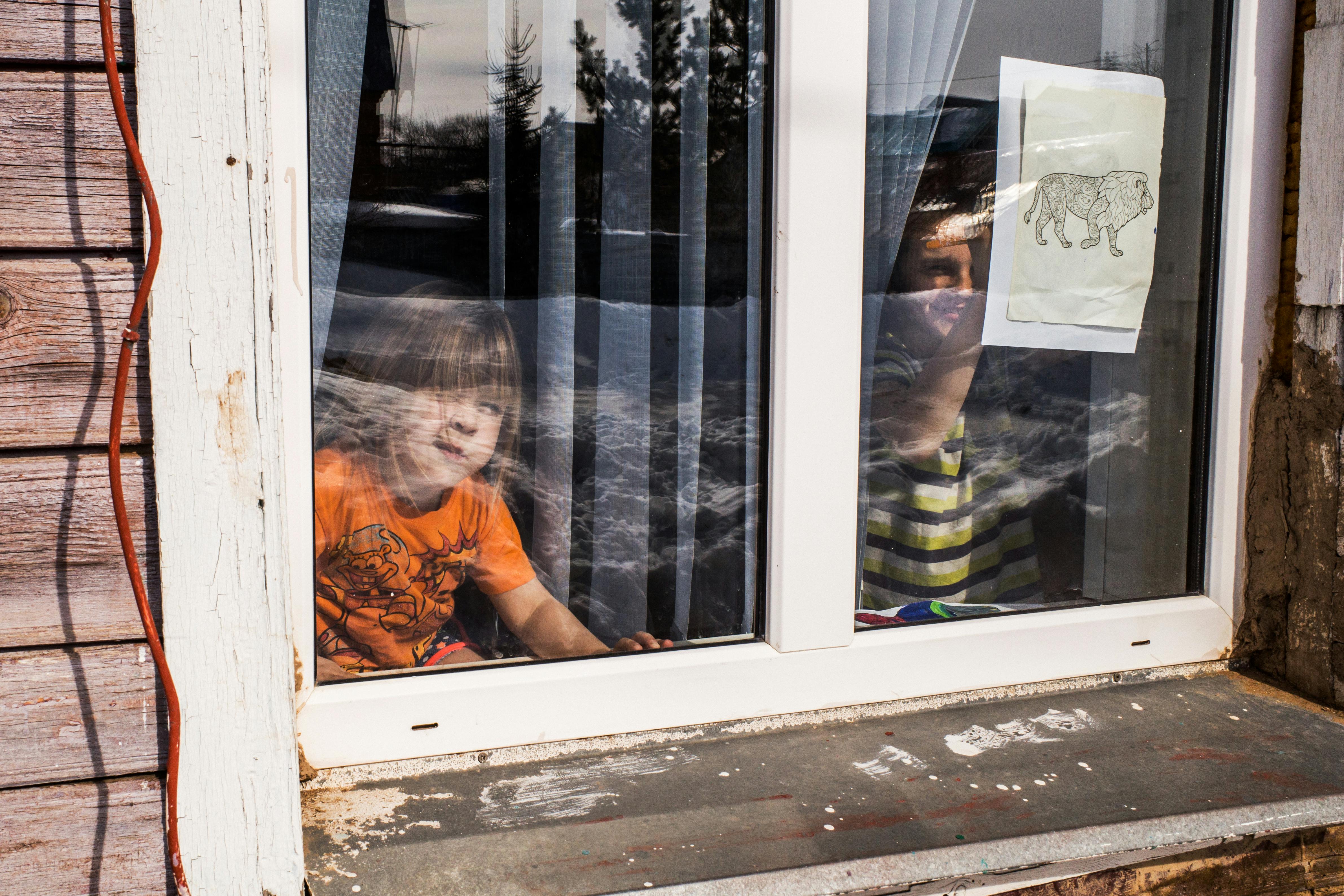 Greenlandic families fight to get children back after parenting tests banned — Photo by Dmitry Egorov on Pexels